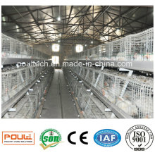 Automatic Broiler Farm Broiler Cage Poultry Farm Equipment